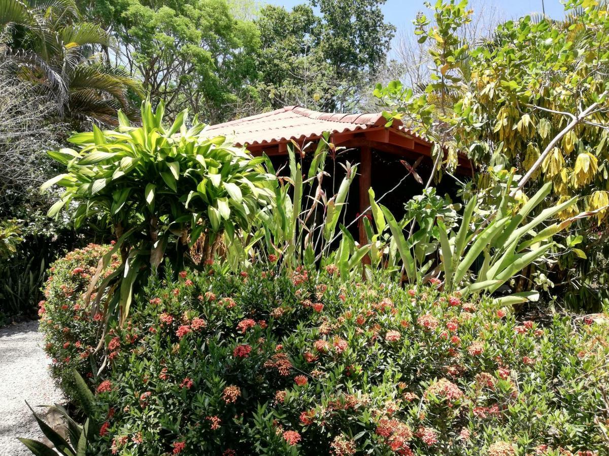 Bed and Breakfast Mundo Goub'Art Cabuya  Exterior foto